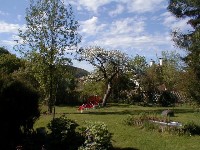 A garden with a flowering tree, two red deckchairs and a small pond.