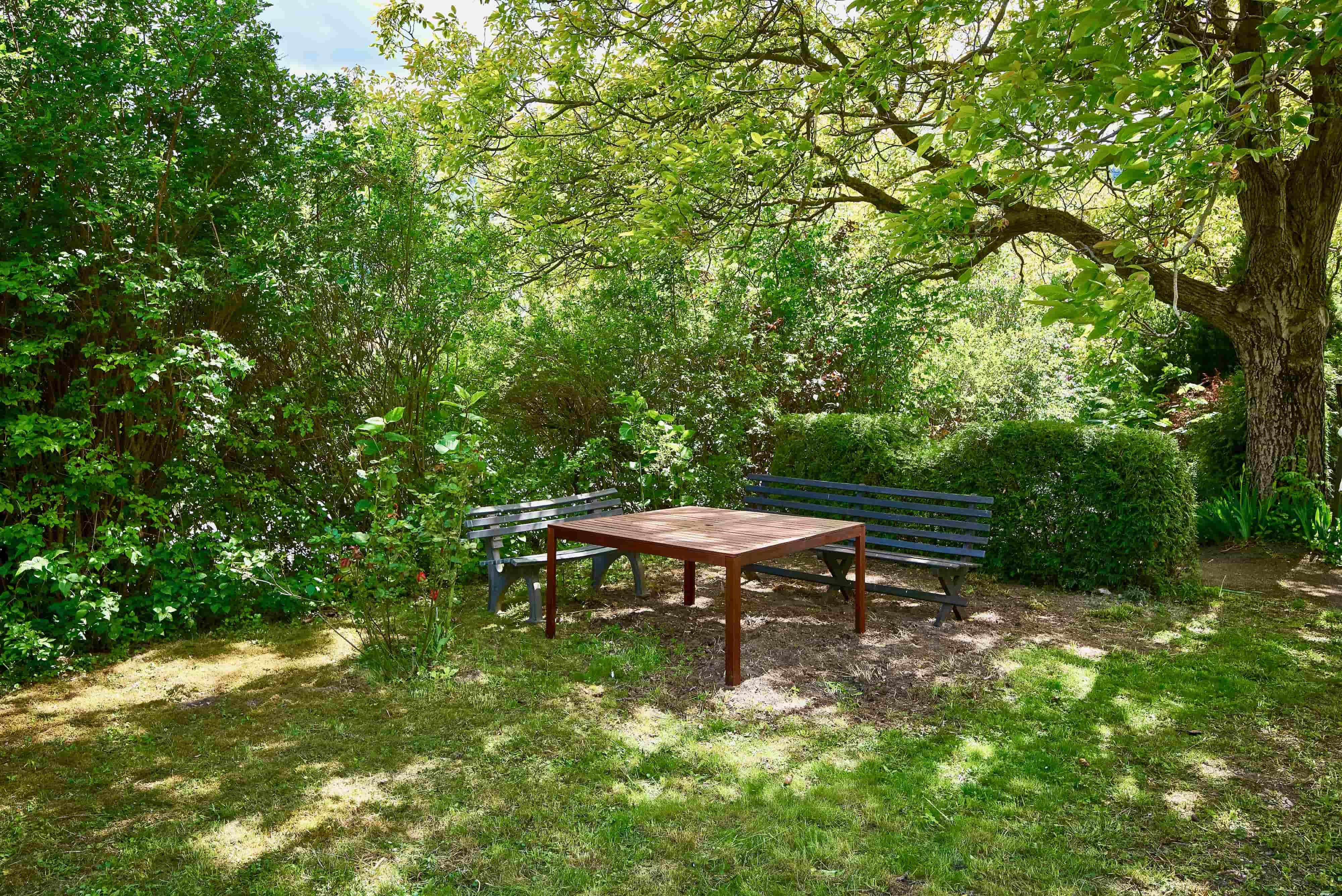A quiet garden with two benches and a table under a large tree.
