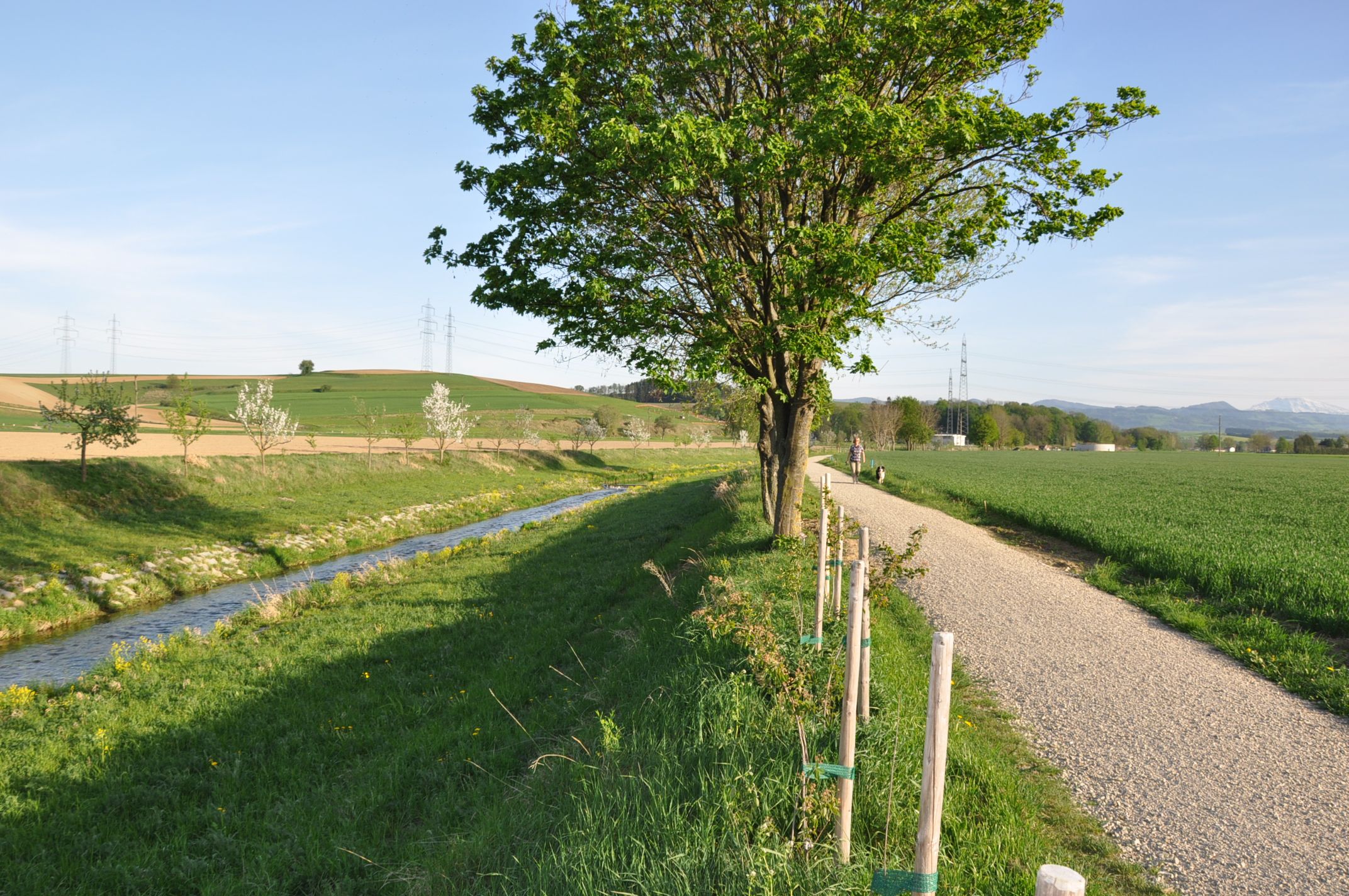 A path along a stream with trees and fields, under a blue sky.
