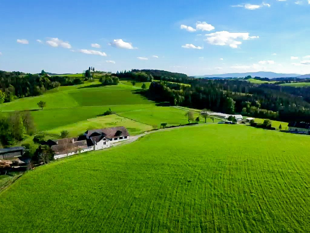 Landscape with green fields and a farm under a blue sky.