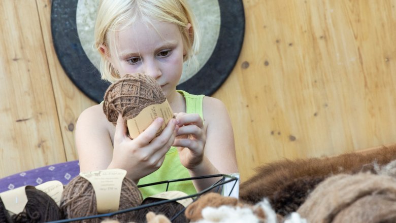 Sonnleiten Alpacas, © Theo Kust