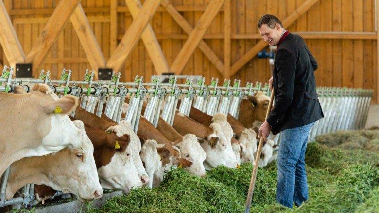 Hammerschmidt organic farm, &copy; Netzwerk Kulinarik/Martina Siebenhandl