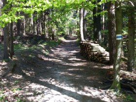 Rundwanderweg stilles Tal, &copy; Mostviertel