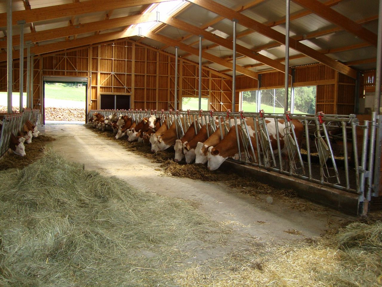 Cowshed