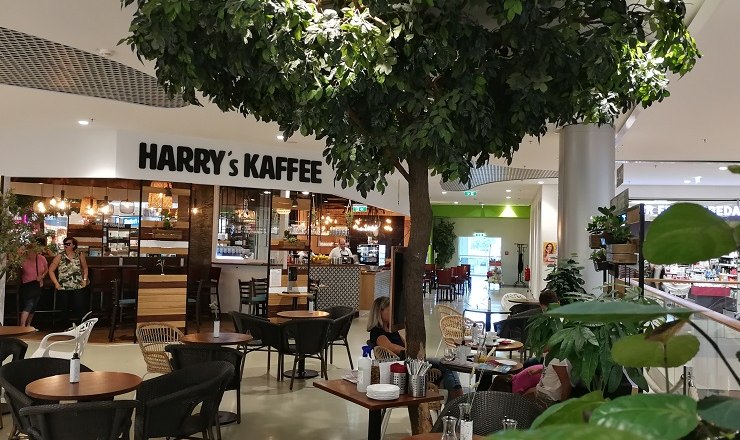 Interior view of a café called Harry's Kaffee with tables, chairs and a large artificial tree.
