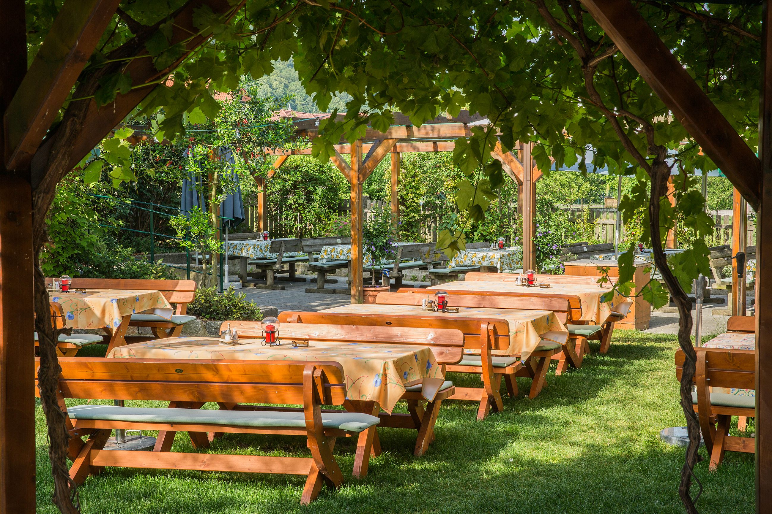 A wine tavern garden with wooden benches and tables under an arbor of vines.