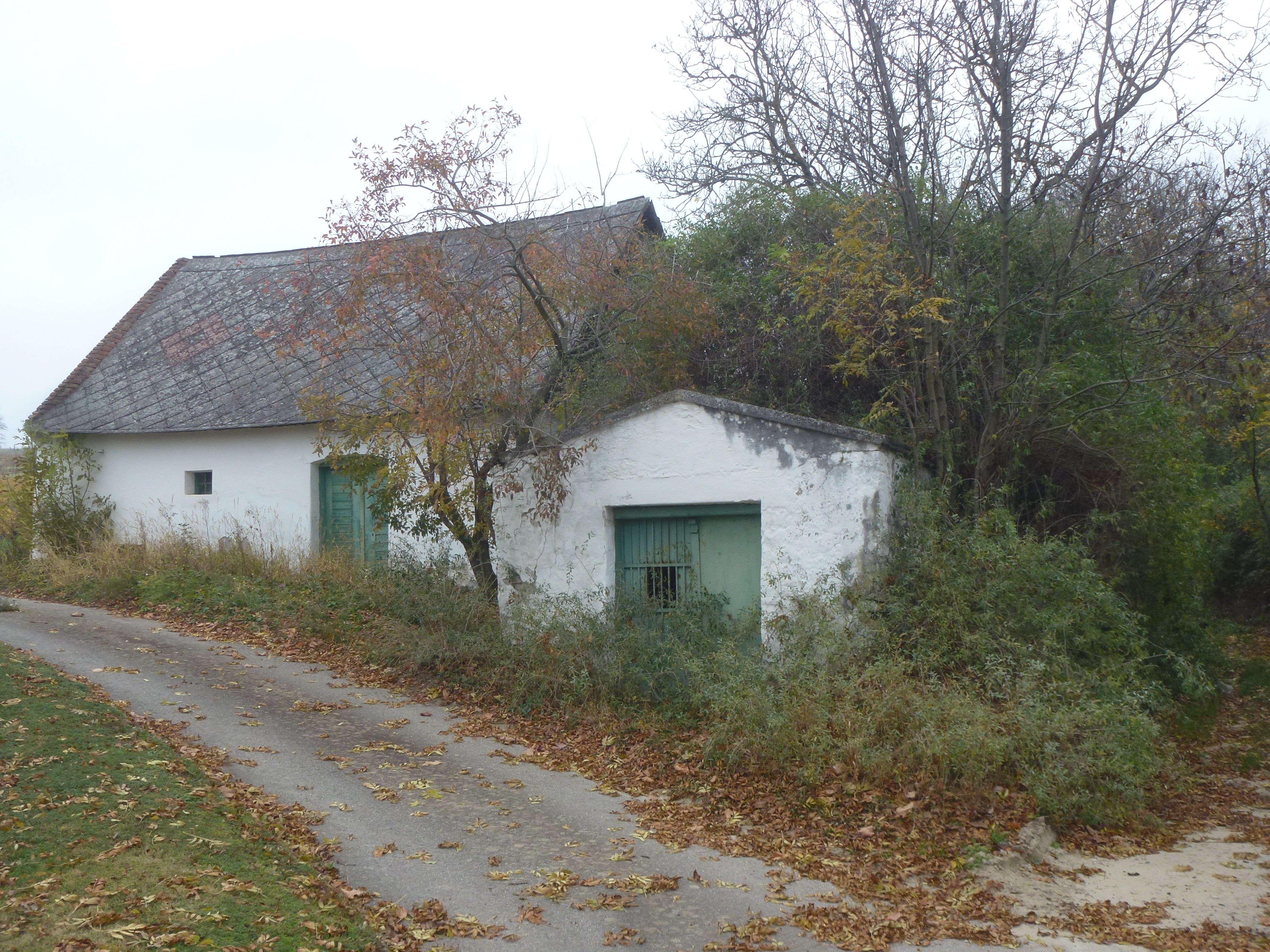 An old, white building with a green gate and roof in a rural setting, surrounded by trees and autumn leaves on the ground.
