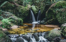 The roaring waters of the Ysperklamm gorge., © Niederösterreich Werbung/ Julia Sallaberger