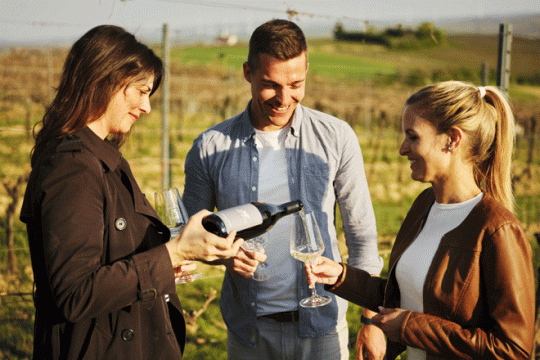 useful information about wine direct from the winemaker., © Niederösterreich-Werbung/Andreas Jakwerth