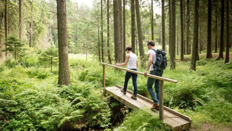 Two people are walking over a small wooden bridge in a dense forest.