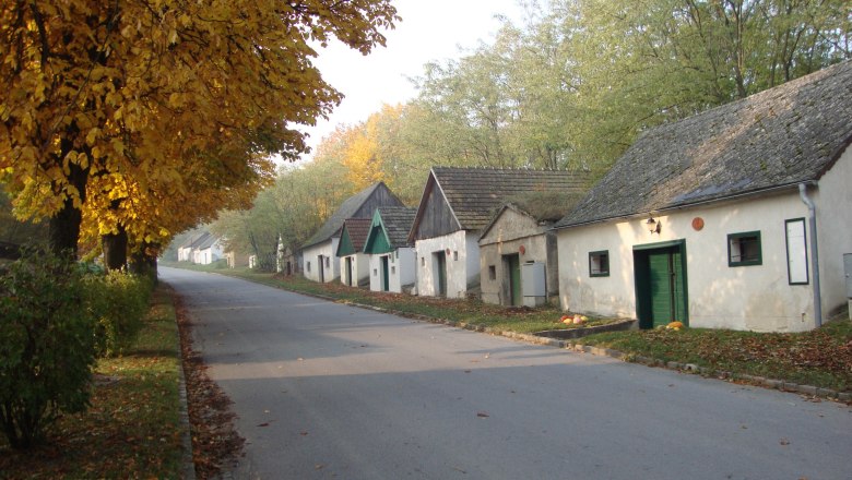 Street with wine cellars and autumnal trees.