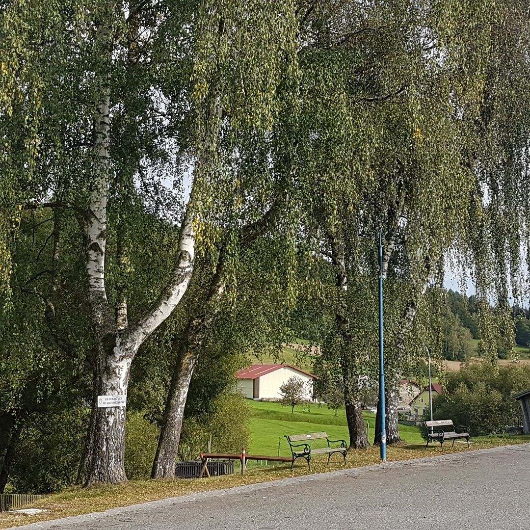 Village path