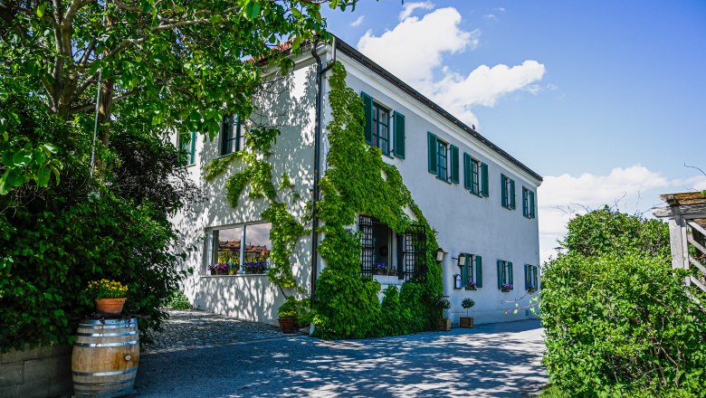 Exterior view of a white house with green shutters and ivy on the fa&ccedil;ade.