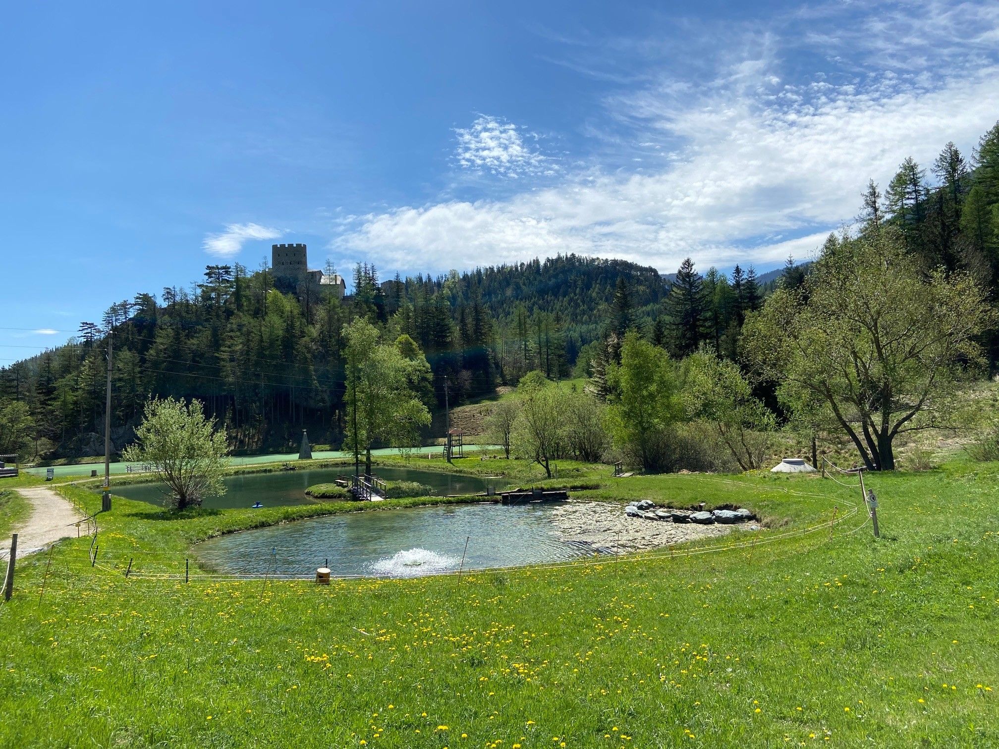 Landscape with pond, meadow and castle in the background.