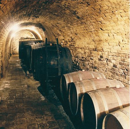 Winery Gerhold