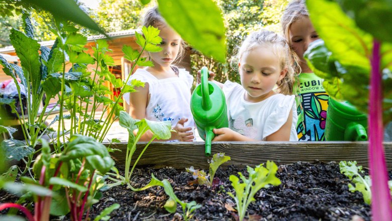 Children gardening in the vegetable patch