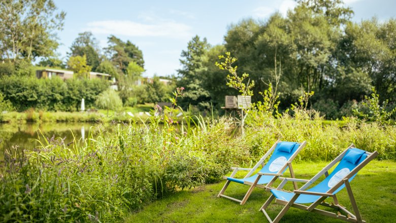 Two blue deckchairs on a meadow on the banks of a pond, surrounded by green vegetation.