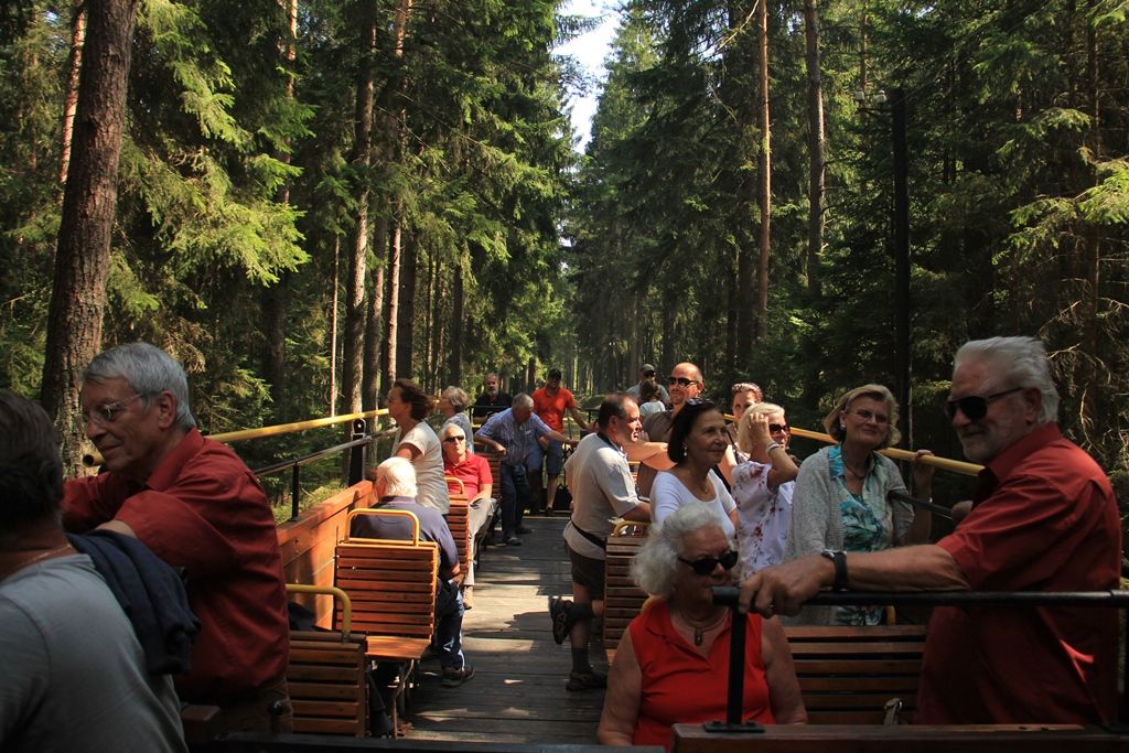 Observation car