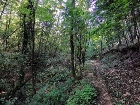 Wenzelsteg, &copy; Retzer Land