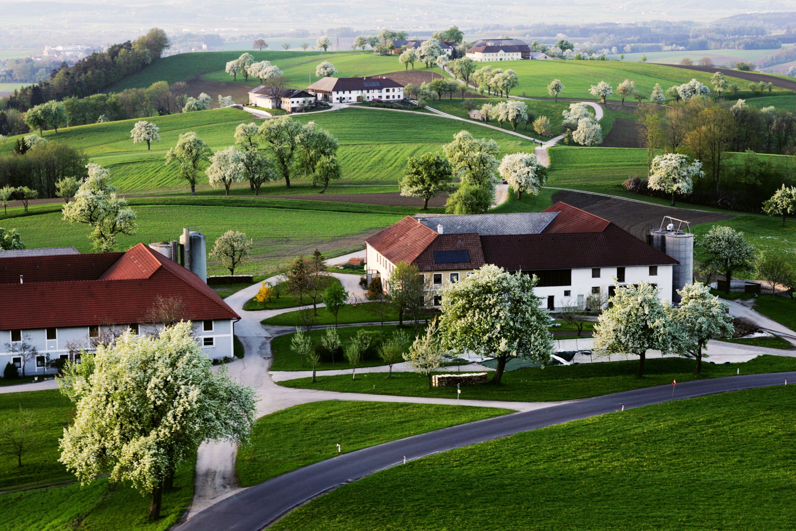 Landscape with green hills, blossoming trees and farmhouses in Euratsfeld.