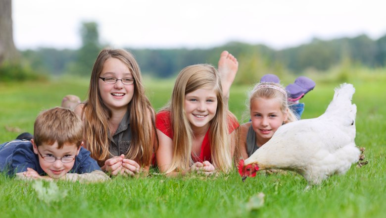 Four children are lying in a meadow next to a white chicken.
