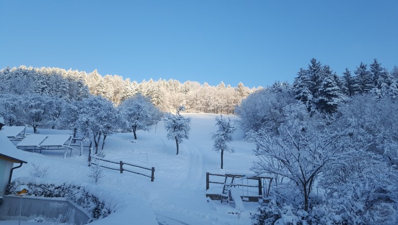 Snow-covered landscape with trees and meadow under a blue sky.