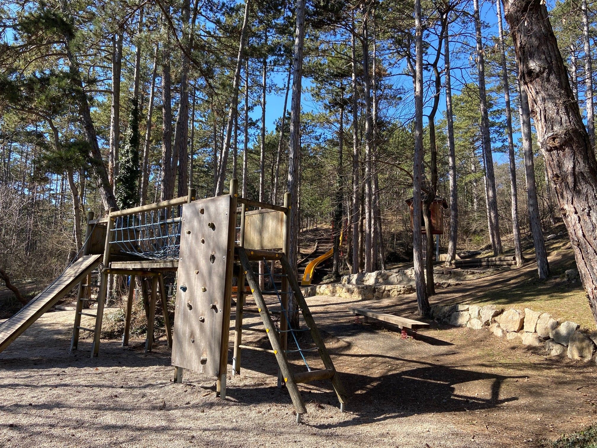 Elephant forest playground