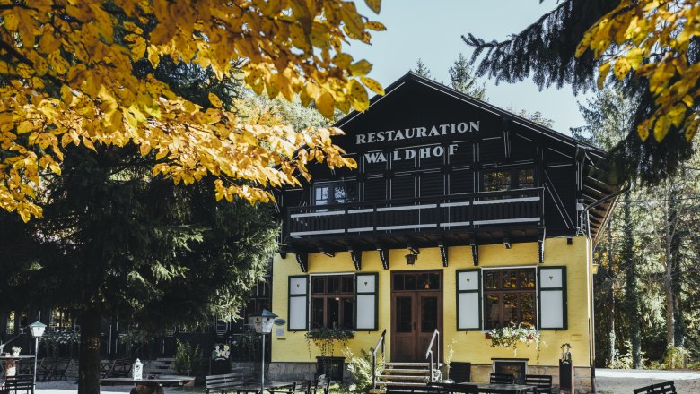 A yellow building with the sign 'Restauration Waldhof' surrounded by trees and a large garden with tables and benches.