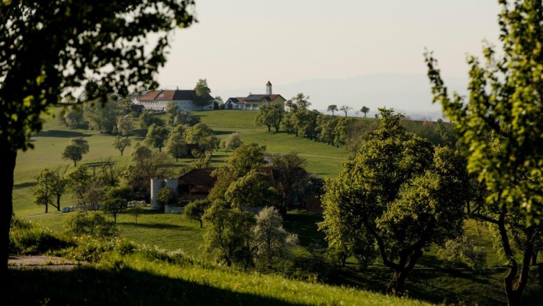 Moss photo point, &copy; schwarz-koenig.at