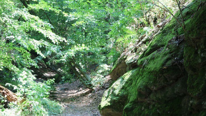 Hiking trails, &copy; G&auml;stezimmer Rolea