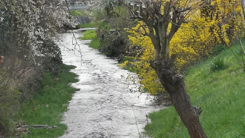 At the Gschinzbach, © Karin Schindl