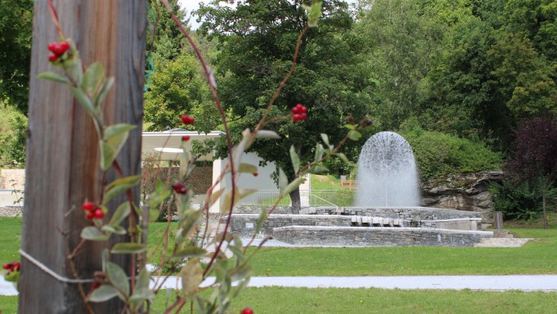 Healing forest Senftenberg, © Donau NÖ Tourismus GmbH