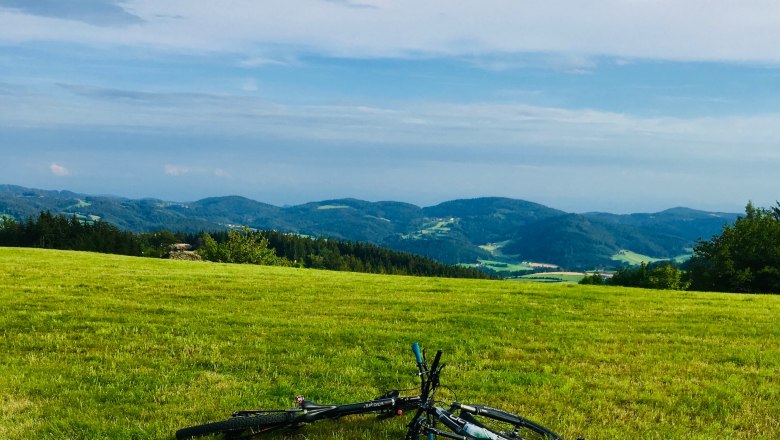 hello. The vacation apartment., &copy; hello. Die Ferienwohnung. Foto: Mitch Peciakowski