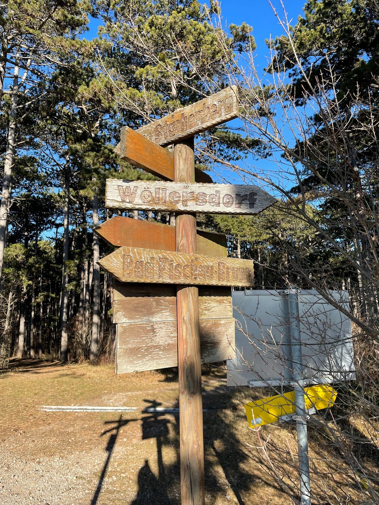 Signpost in the forest with several wooden signs indicating different directions.