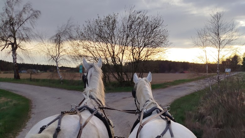 Carriage by the lime trees, &copy; Sonja H&ouml;gler