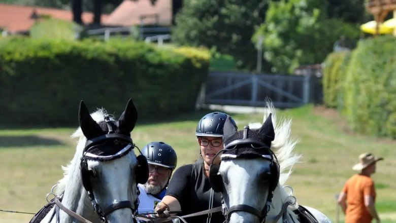 Carriage by the lime trees, &copy; Sonja H&ouml;gler
