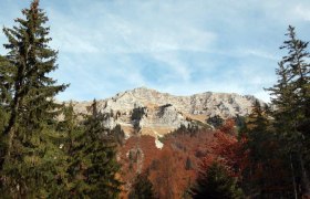 Mountain landscape with the Dürrenstein in the background, surrounded by conifers and autumn-colored foliage.