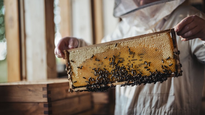 The Zeidler, &copy; Moststra&szlig;e, dochbodnliacht