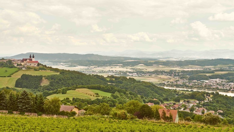 Landscape with a view of Maria Taferl and the Danube valley, green fields and hills in the foreground, river and mountains in the background.