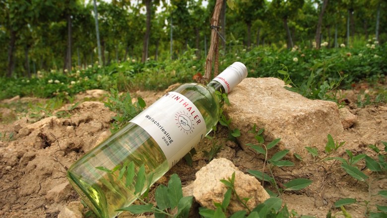 Reinthaler wines, © Seymann