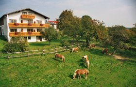 A white house with wooden balconies and blooming flowers, surrounded by a green meadow with grazing horses and trees.