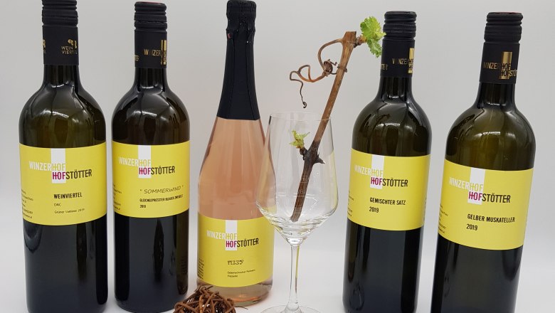 Five wine bottles and a wine glass with a vine on a white background.