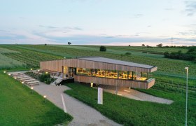 Modern building surrounded by vineyards at sunset.