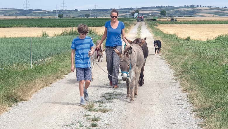 Donkey walk, © Fam Böchzelt