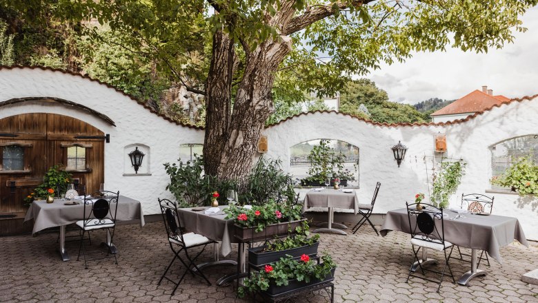 A cozy courtyard garden with tables and chairs under a large tree, surrounded by a white wall and plants.