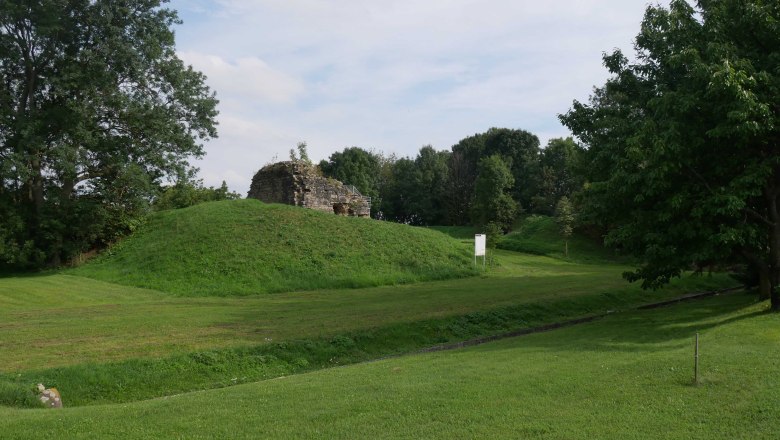 Ruins of Sachsendorf Castle on a grassy hill surrounded by trees.