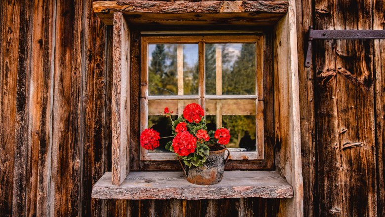 Nestelberg 17, © Sabine Wieser