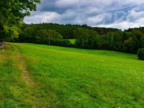 Almwiese zwischen Bergern und Sading, &copy; Unknown