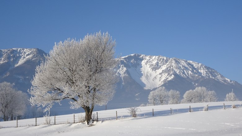Snowy landscape with Schneeberg in the background