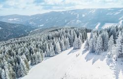 Luftaufnahme der verschneiten Wechsel-Panoramaloipe zwischen schneebedeckten Nadelbäumen mit Blick auf die umliegende Berglandschaft.